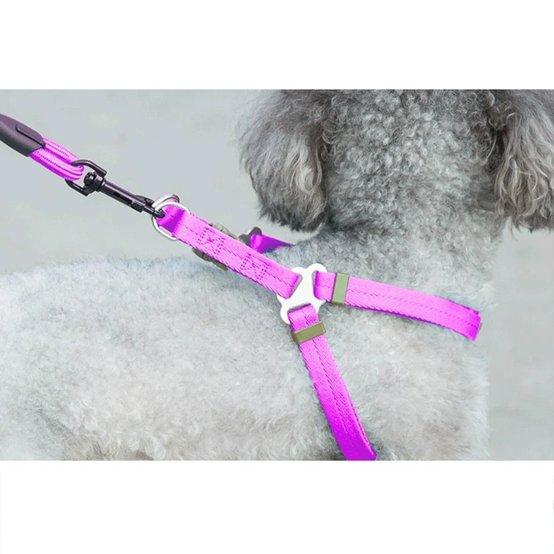 3 Piece Pet Collar Harness & Leash Set S 8Kg Max