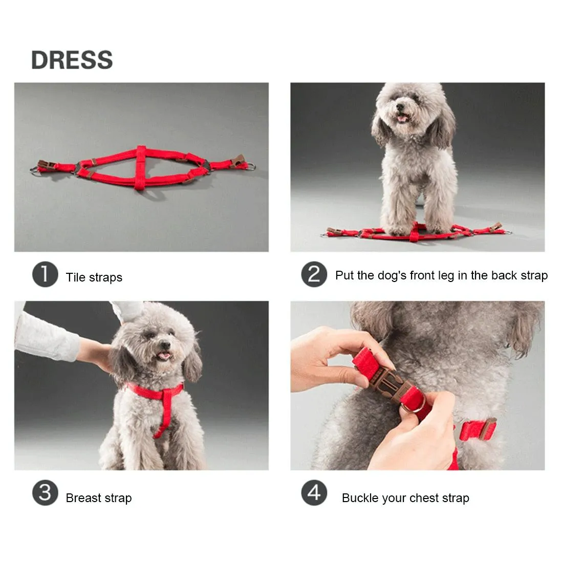 3 Piece Pet Collar Harness & Leash Set S 8Kg Max