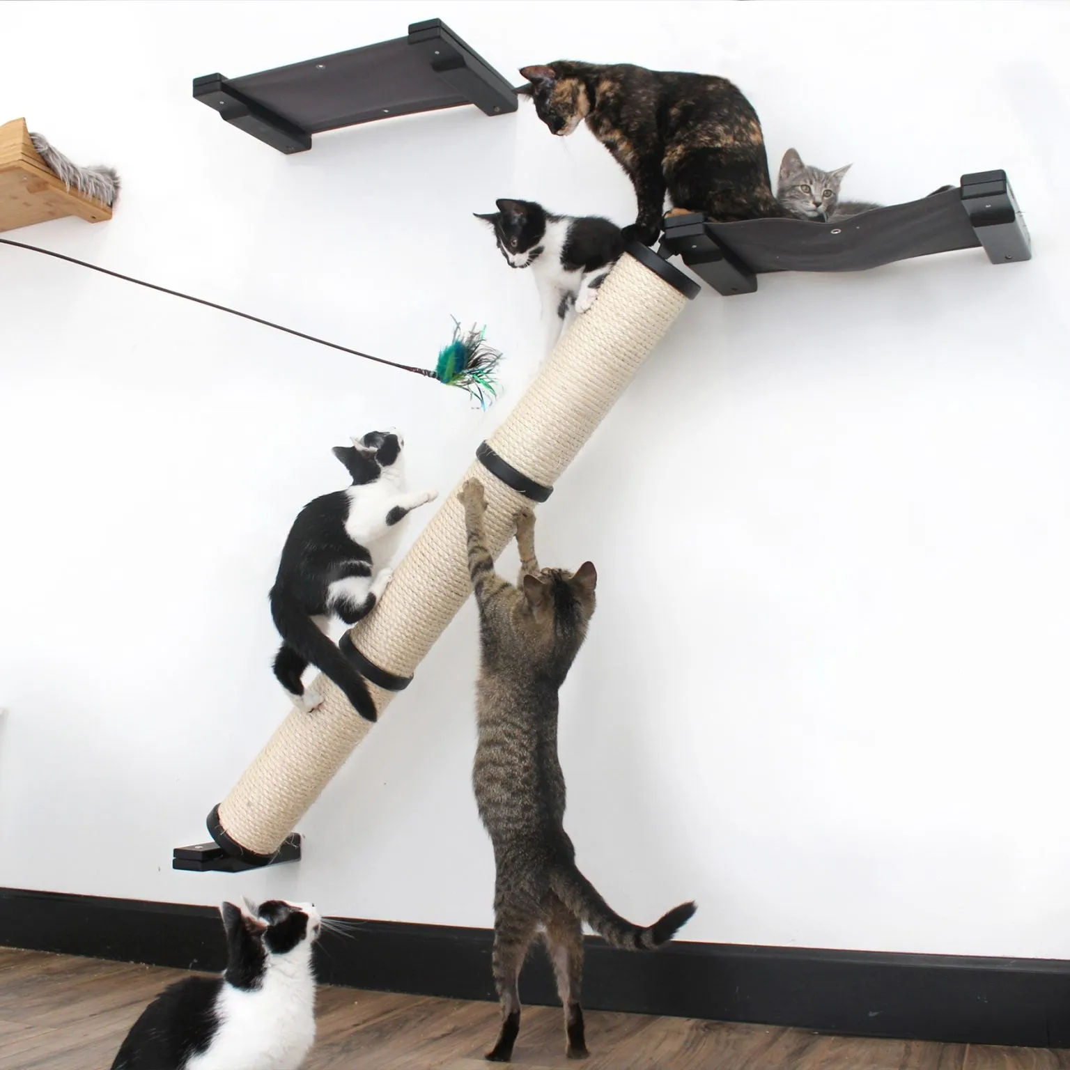 Angled Cat Scratcher Ramp (Cat Wall Scratchers)
