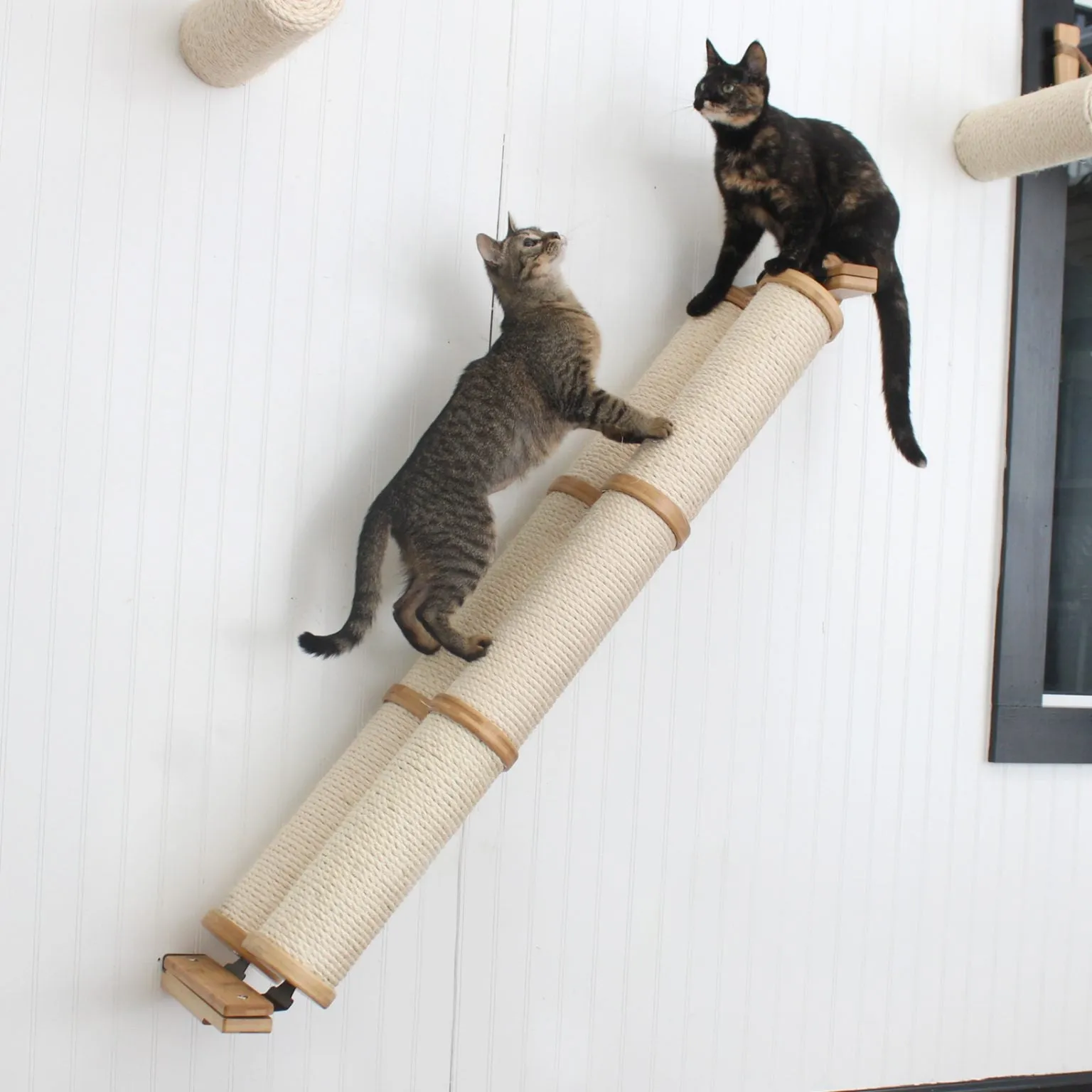 Angled Cat Scratcher Ramp (Cat Wall Scratchers)