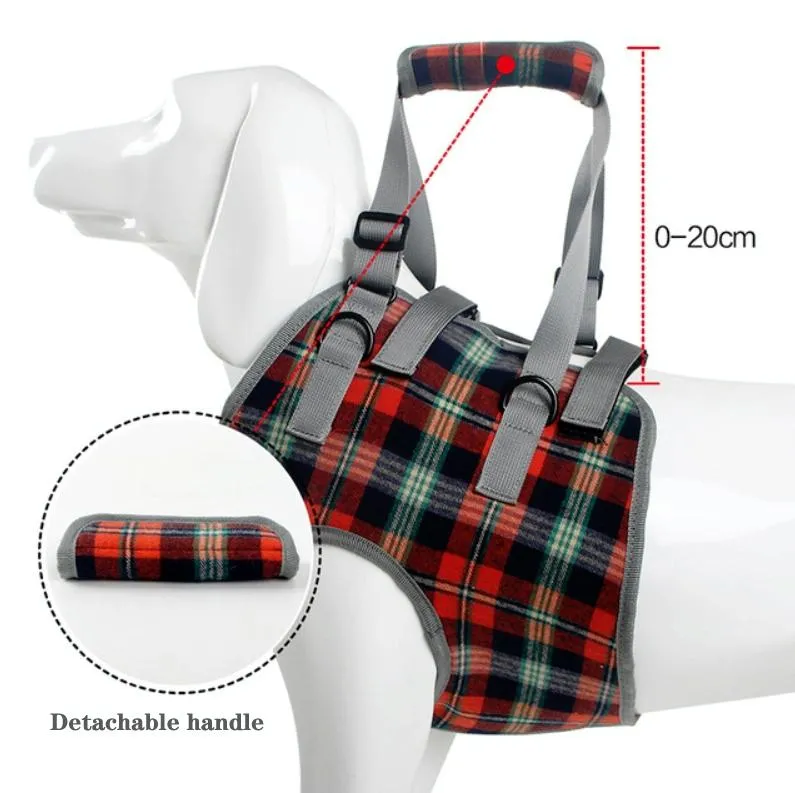 Assistive Dog Leg Straps Size M Front Leg Blue