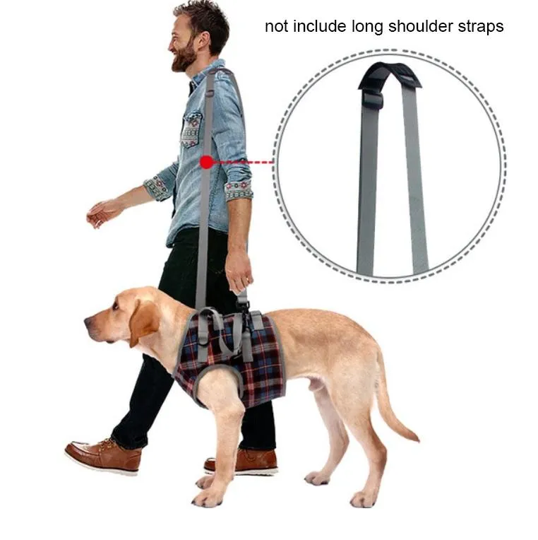 Assistive Dog Leg Straps Size M Front Leg Blue
