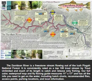 Davidson River Map