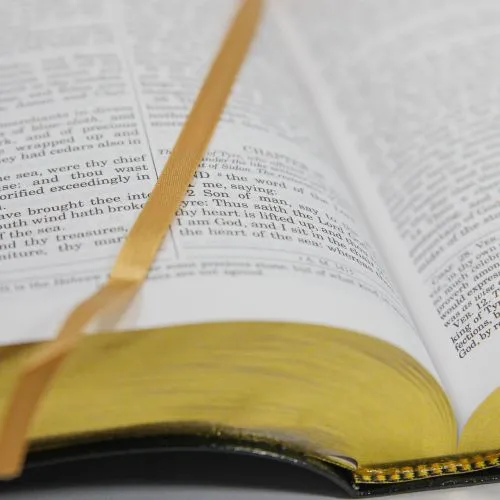 Douay-Rheims Catholic Bible