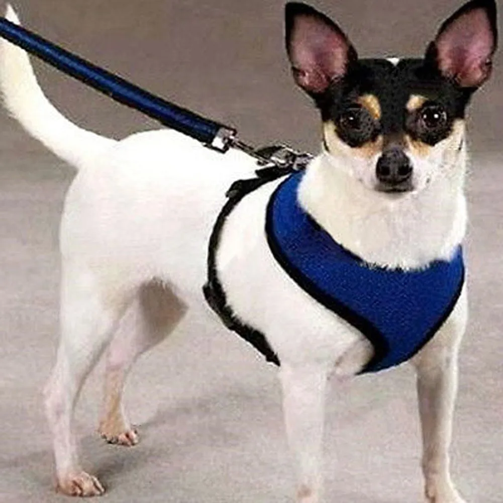 Pet Clothing Adjustable Pet Control Harness Collar Dog Safety Strap Mesh Breathable Vest For Dog Puppy Cat Pet Accessories