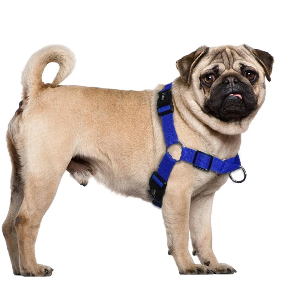 Walking Nylon Dog's Harness